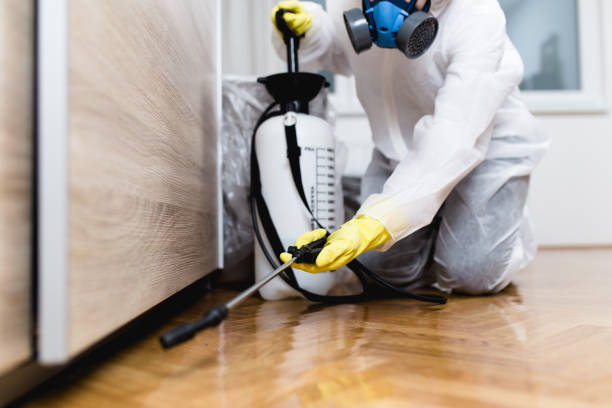 Best Pest Control Cost  in Eden, NC