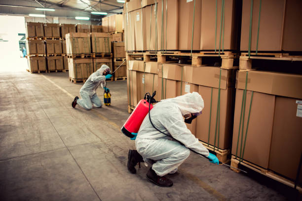 Pest Control Cost in Eden, NC