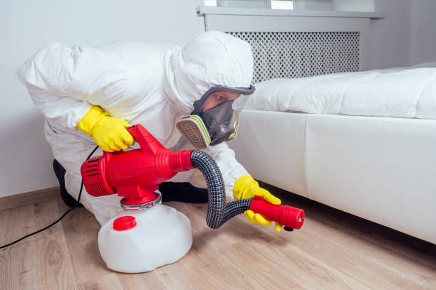 Best Cockroach Control Services  in Eden, NC