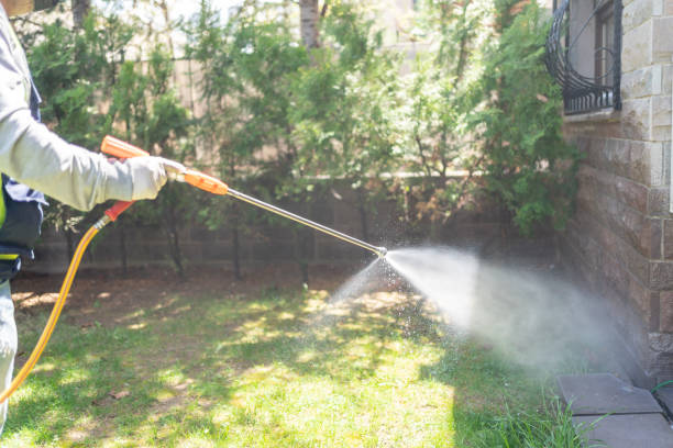 Best Bed Bug Extermination  in Eden, NC