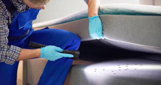 Trusted Eden, NC Pest Control Experts