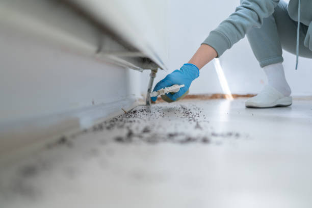  Eden, NC Pest Control Pros